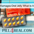 Kamagra Oral Jelly What Is It new01